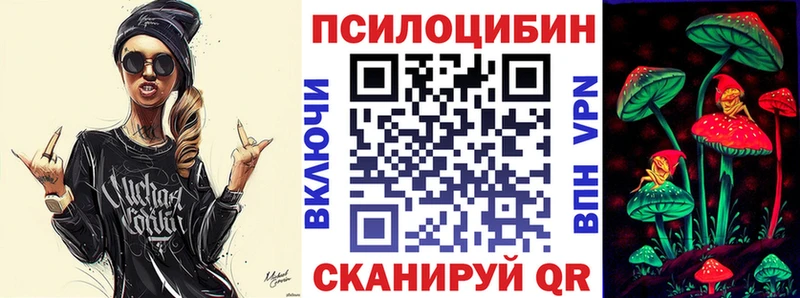 Купить  Фрязино  Псилоцибиновые грибы Magic Shrooms 